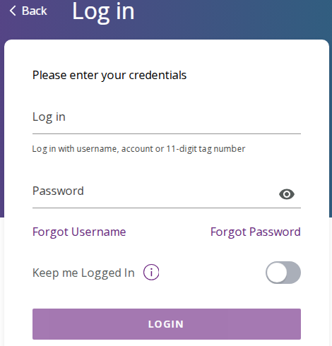 Access the NY EZPass Login Portal