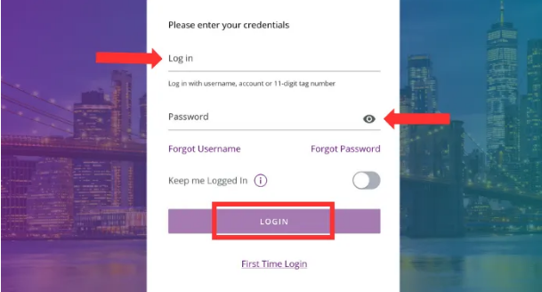 Login Process: Step